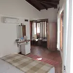 Amazon Petite 4*