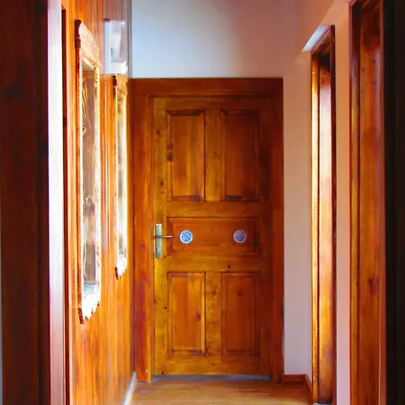 Amazon Petite Palace