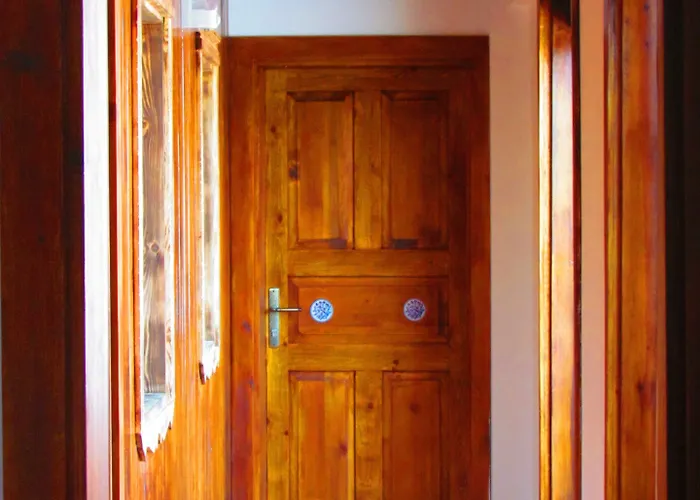 Amazon Petite Palace