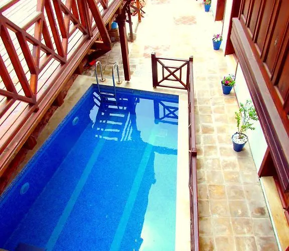 Maison d'hôtes Amazon Petite Palace