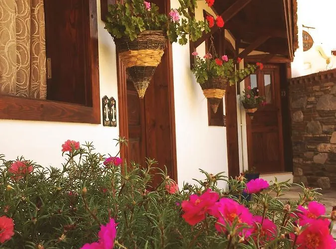 Maison d'hôtes Amazon Petite Palace