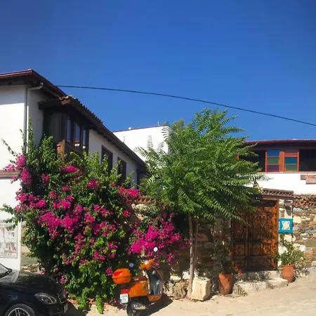Πανσιόν Amazon Petite Palace