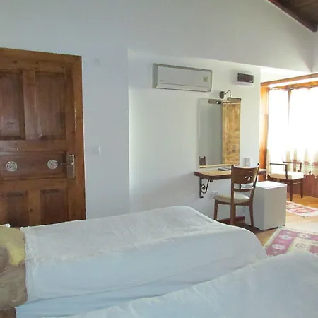 Amazon Petite Palace בית הארחה