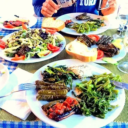 亚马逊小宫殿酒店