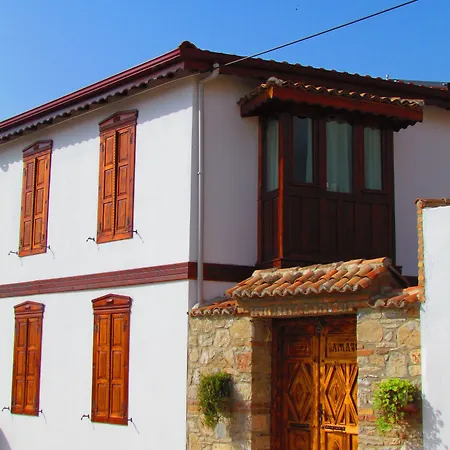 Πανσιόν Amazon Petite Palace Σελτσούκ