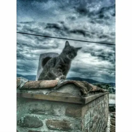 Amazon Petite Palace Penzion Selcuk