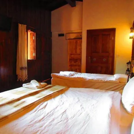 Amazon Petite Palace Πανσιόν
