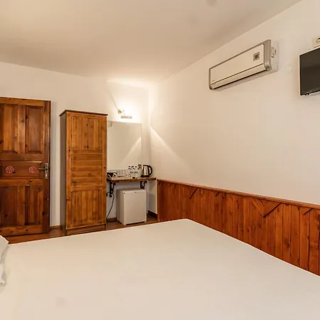 Πανσιόν Amazon Petite Palace Σελτσούκ