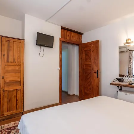 招待所 亚马逊小宫殿酒店 塞尔丘克