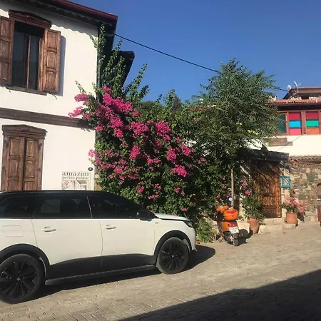 Amazon Petite Palace 4* Σελτσούκ