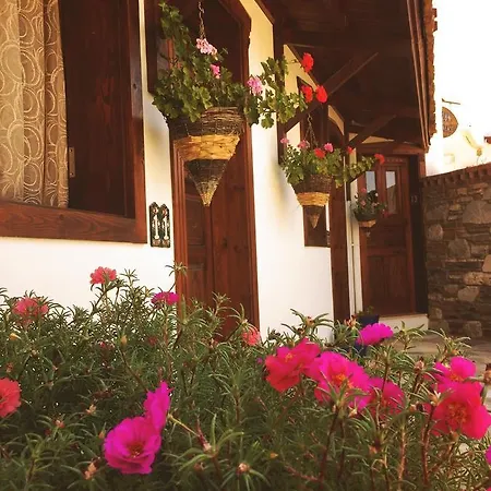 Πανσιόν Amazon Petite Palace