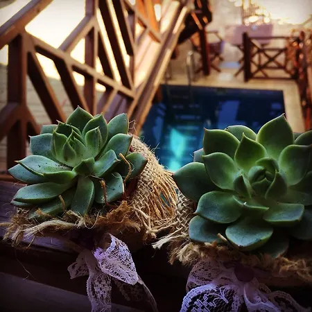 亚马逊小宫殿酒店 4* 塞尔丘克