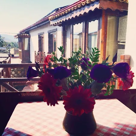 Amazon Petite Palace Selcuk