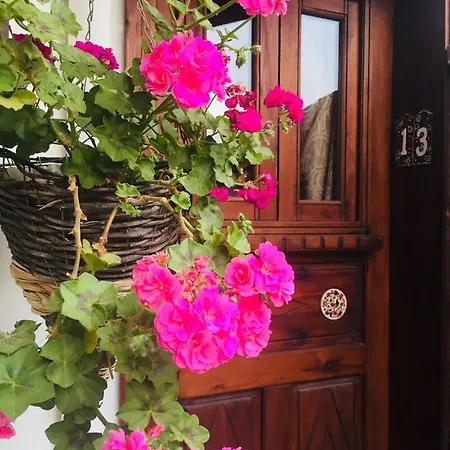 בית הארחה Amazon Petite Palace סלצ'וק