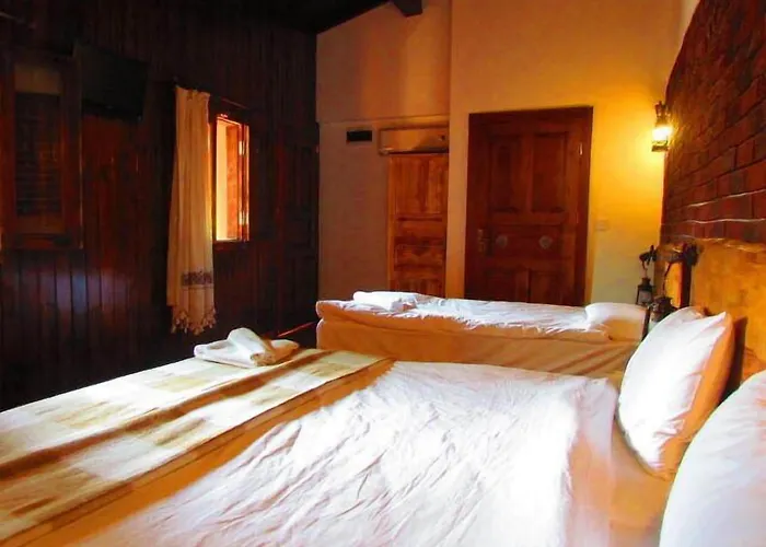 Amazon Petite Palace Casa de hóspedes