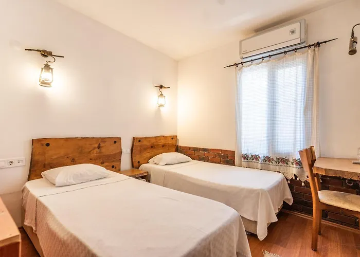 Pensiune Amazon Petite Palace 4*