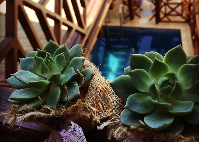 Amazon Petite Palace 4* Selçuk